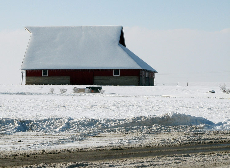Frozen Barn