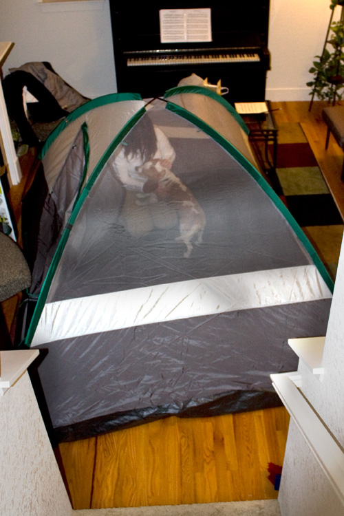 Tent Check