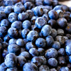 Blue Berries