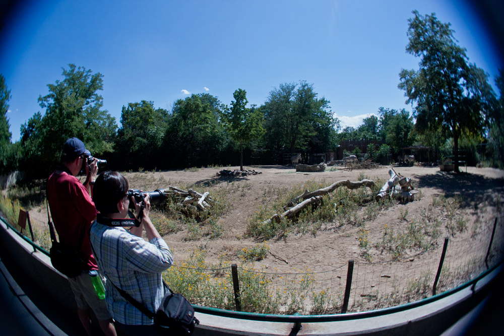 Denver Zoo