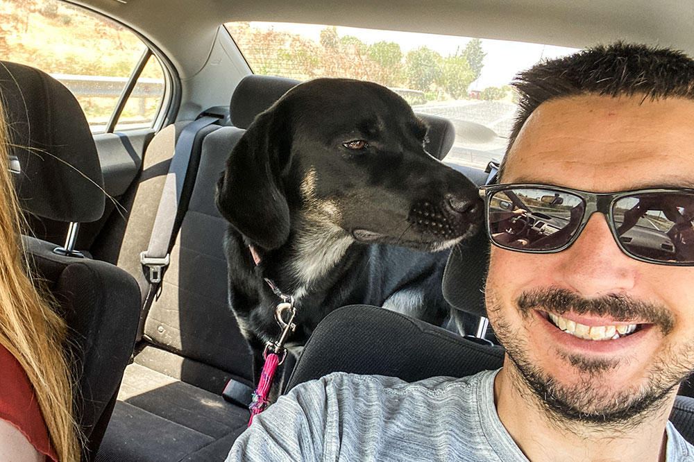 To the Vet!